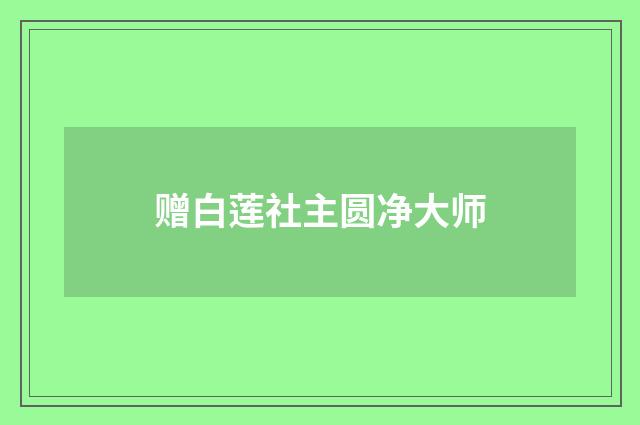 赠白莲社主圆净大师