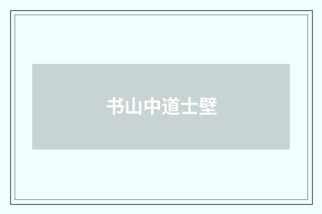 书山中道士壁