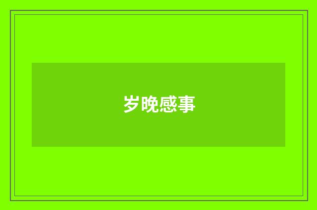 岁晚感事