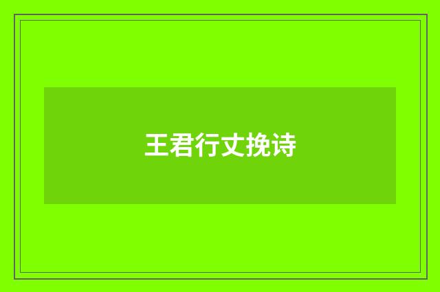 王君行丈挽诗
