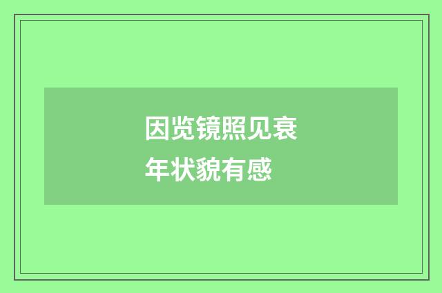 因览镜照见衰年状貌有感
