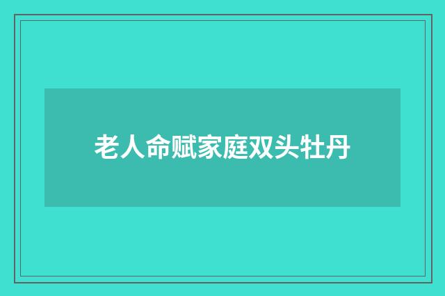 老人命赋家庭双头牡丹