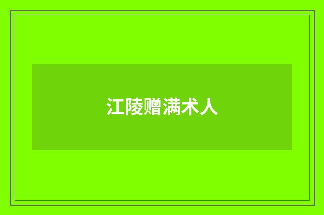 江陵赠满术人
