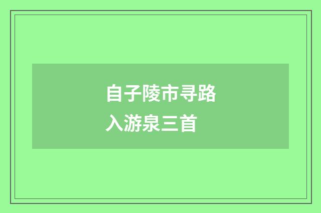 自子陵市寻路入游泉三首