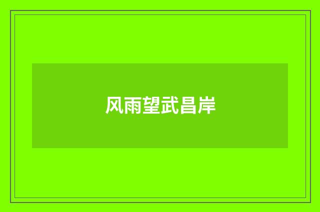 风雨望武昌岸