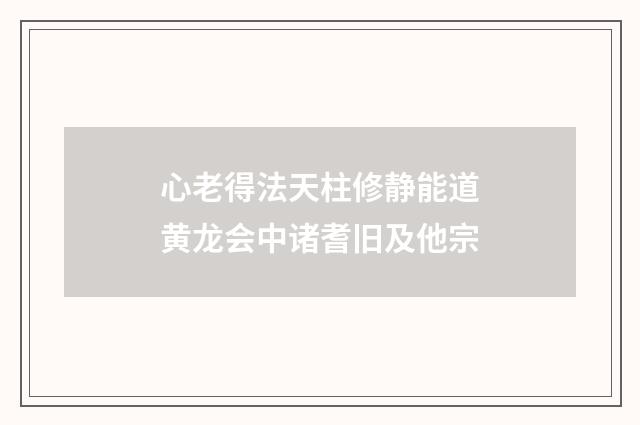 心老得法天柱修静能道黄龙会中诸耆旧及他宗