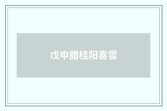 戊申腊桂阳喜雪