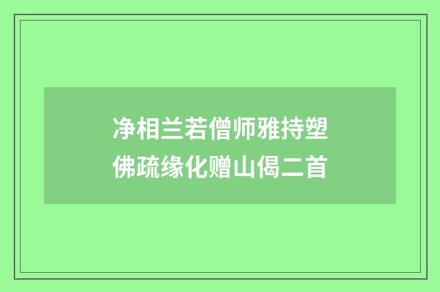 净相兰若僧师雅持塑佛疏缘化赠山偈二首