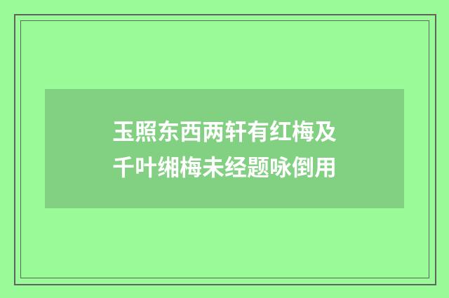 玉照东西两轩有红梅及千叶缃梅未经题咏倒用
