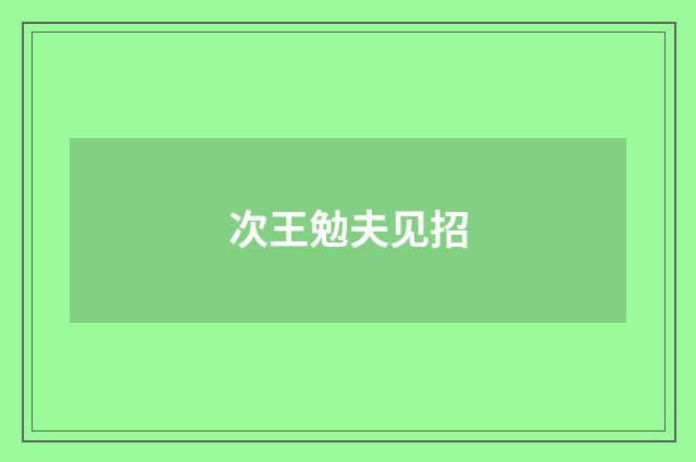 次王勉夫见招