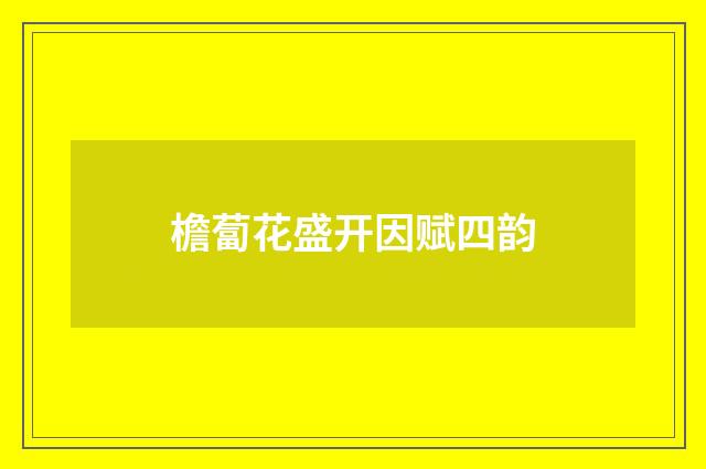 檐蔔花盛开因赋四韵