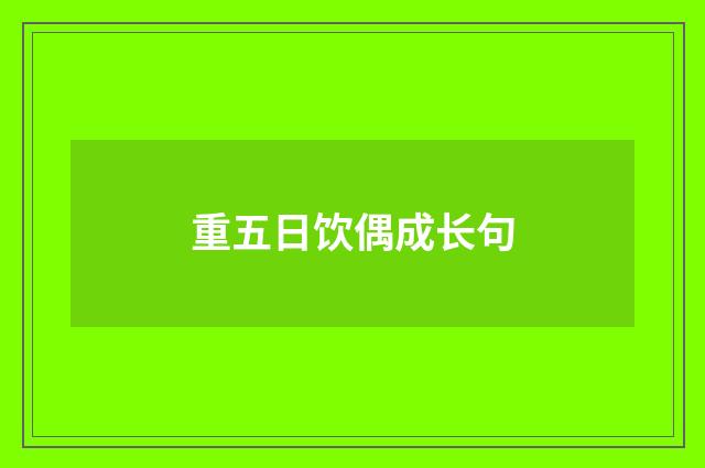 重五日饮偶成长句