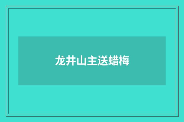 龙井山主送蜡梅