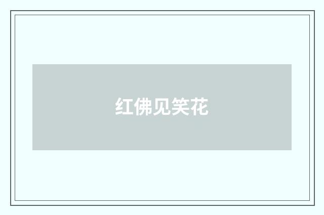 红佛见笑花