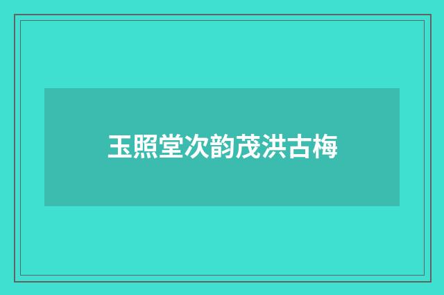 玉照堂次韵茂洪古梅