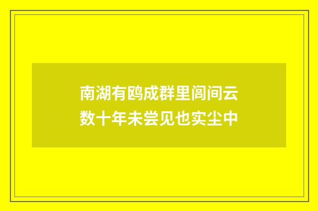 南湖有鸥成群里闾间云数十年未尝见也实尘中