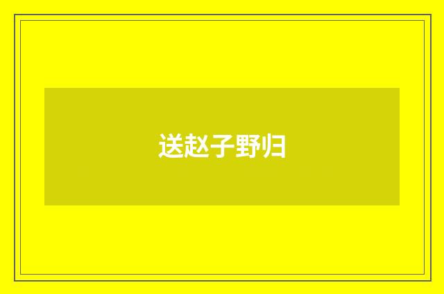 送赵子野归