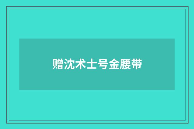 赠沈术士号金腰带