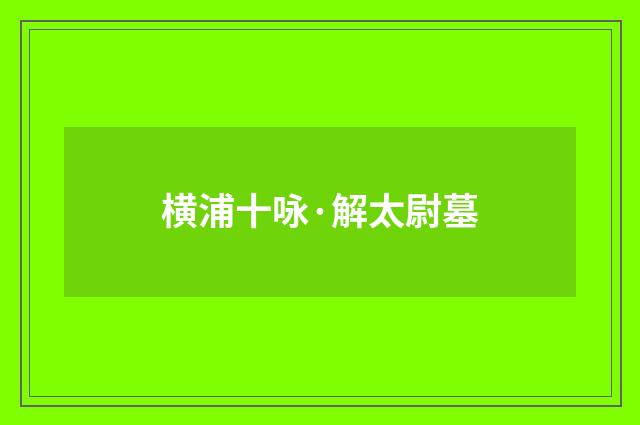 横浦十咏·解太尉墓