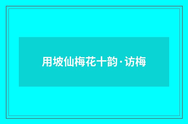 用坡仙梅花十韵·访梅