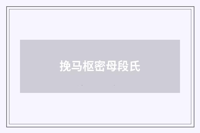 挽马枢密母段氏