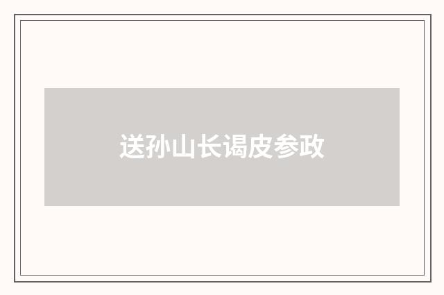 送孙山长谒皮参政