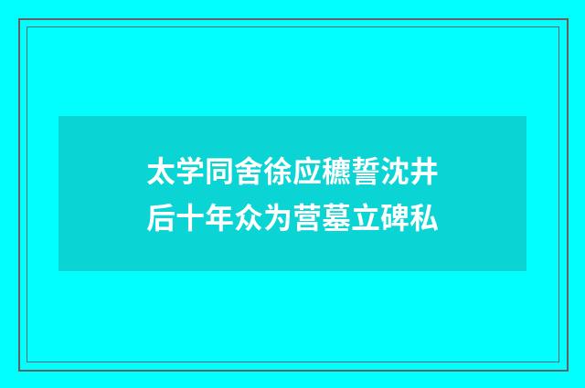 太学同舍徐应穮誓沈井后十年众为营墓立碑私