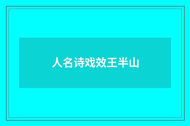人名诗戏效王半山