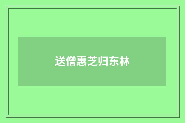 送僧惠芝归东林