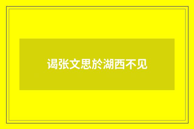 谒张文思於湖西不见