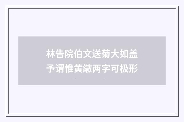 林告院伯文送菊大如盖予谓惟黄繖两字可极形