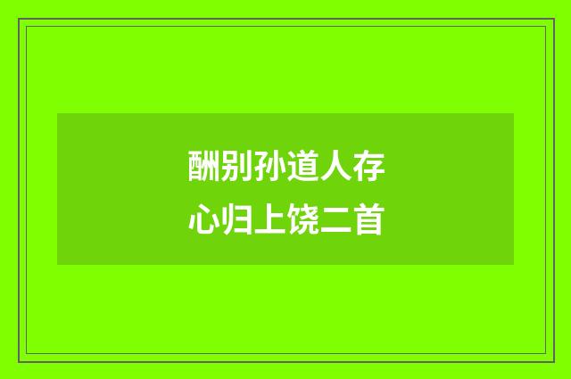 酬别孙道人存心归上饶二首