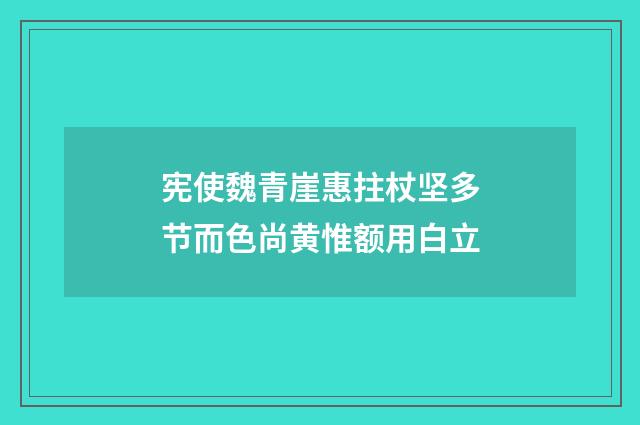 宪使魏青崖惠拄杖坚多节而色尚黄惟额用白立