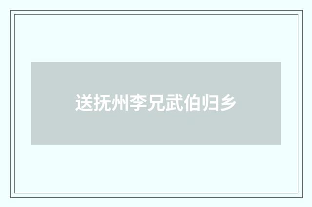 送抚州李兄武伯归乡