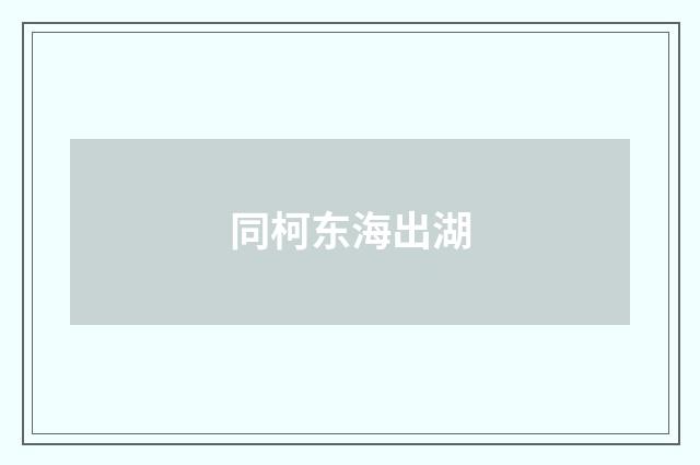 同柯东海出湖