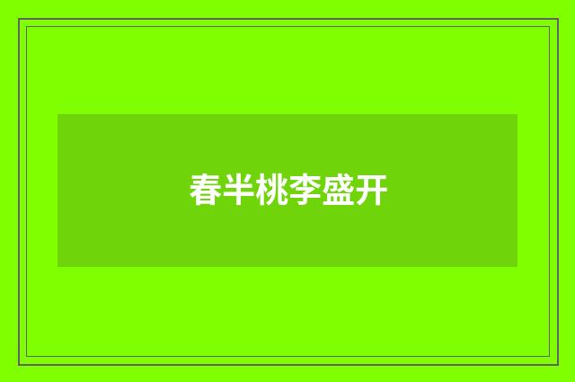春半桃李盛开