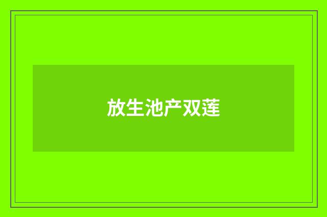 放生池产双莲