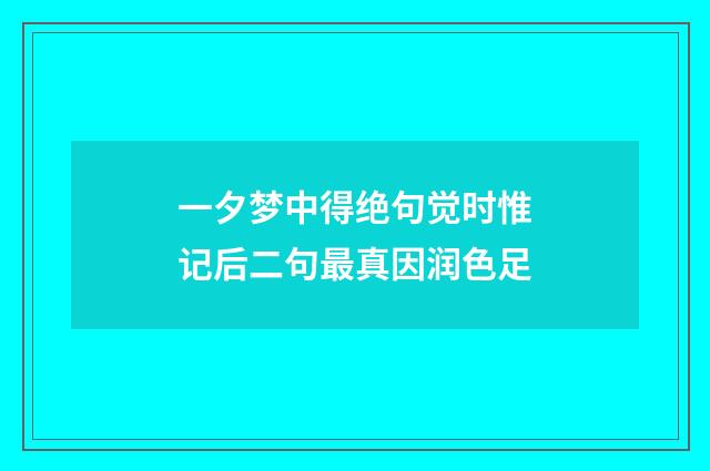 一夕梦中得绝句觉时惟记后二句最真因润色足