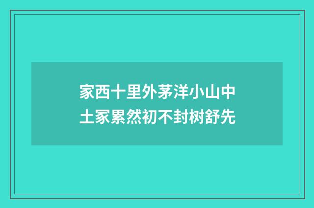 家西十里外茅洋小山中土冢累然初不封树舒先