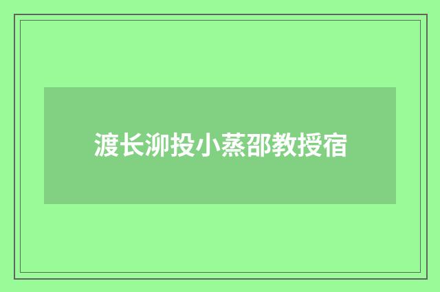 渡长泖投小蒸邵教授宿