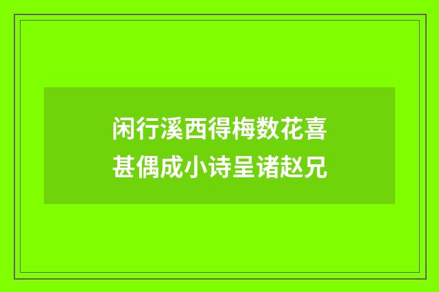 闲行溪西得梅数花喜甚偶成小诗呈诸赵兄