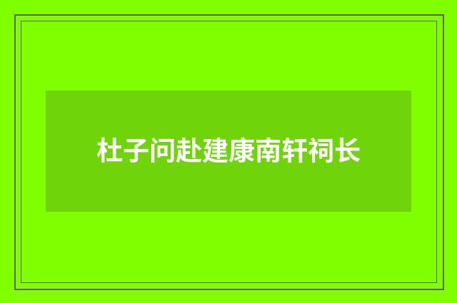 杜子问赴建康南轩祠长