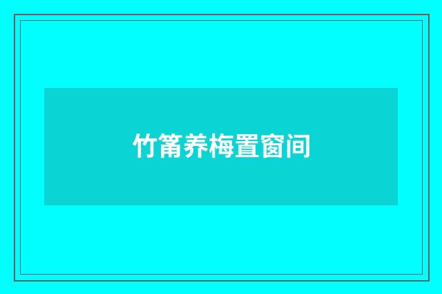 竹筩养梅置窗间
