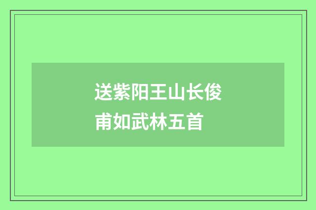 送紫阳王山长俊甫如武林五首
