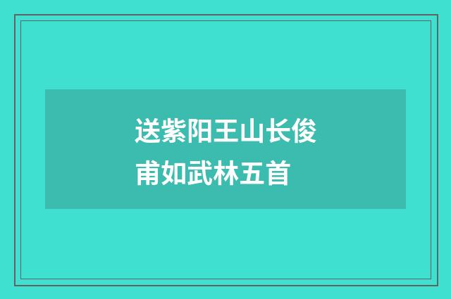 送紫阳王山长俊甫如武林五首