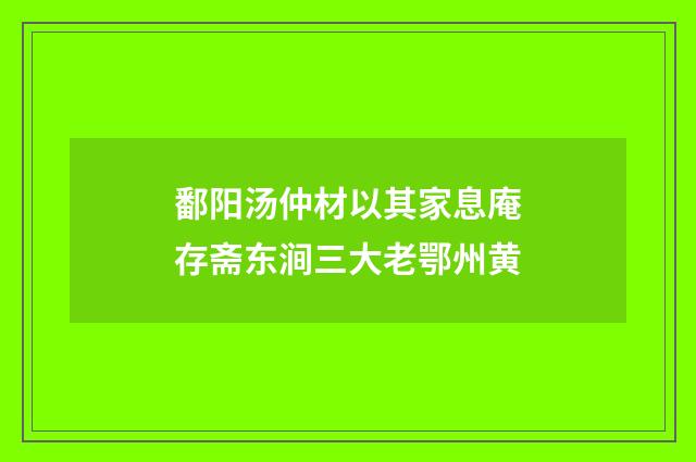 鄱阳汤仲材以其家息庵存斋东涧三大老鄂州黄