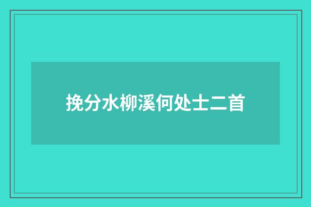 挽分水柳溪何处士二首