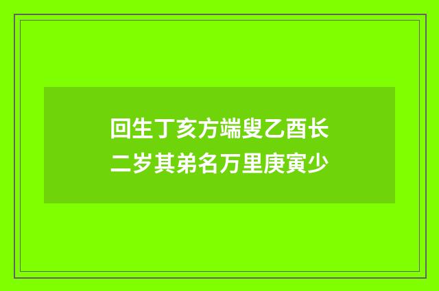 回生丁亥方端叟乙酉长二岁其弟名万里庚寅少