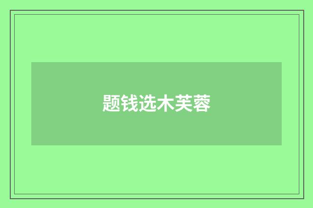 题钱选木芙蓉