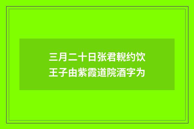 三月二十日张君輗约饮王子由紫霞道院酒字为